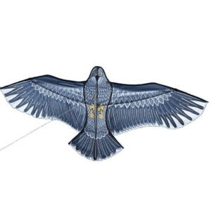 Eagle-Kite