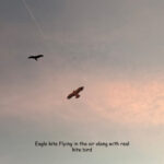 Fabric kite flying in the air