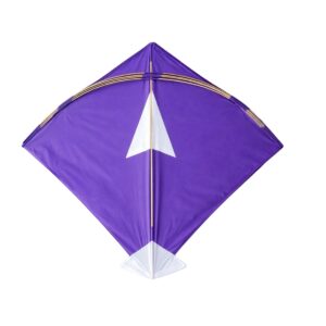Beautiful Mix design Manjoli kite Patang Size 21 x 23 Inches (pack of 30 kites)
