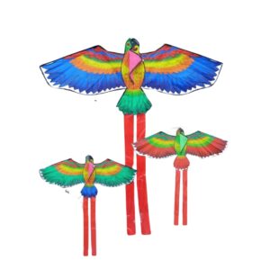 PatangDori Large Fancy colorful Parrot Kite 111 x 54 cm