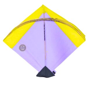 Designer kart kite , Addhi kite , અડધિયાં પતંગ (pack of 40 kites)