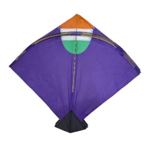 Addhi Size kite from Bareilly (pack of 100 kites)-Addhi size 21 x 26 inch